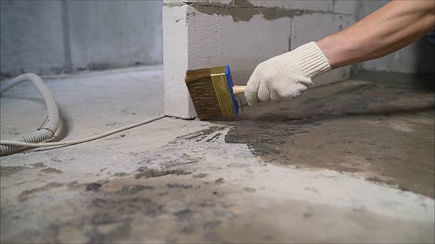 SJ Waterproofing Pros Waterproofing coverage map for Cedar Lake, IN and surrounding area